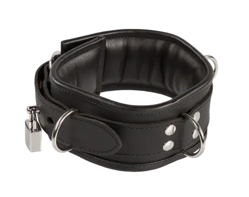 abschließbares Halsband, weich gepolstert  ohne Hintergrund