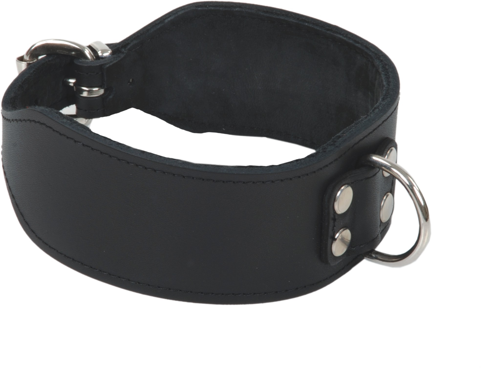 Halsband "spezial" mit Halbring Halsband "spezial" mit Halbring